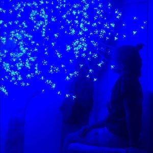 Meet your Posher, Riley